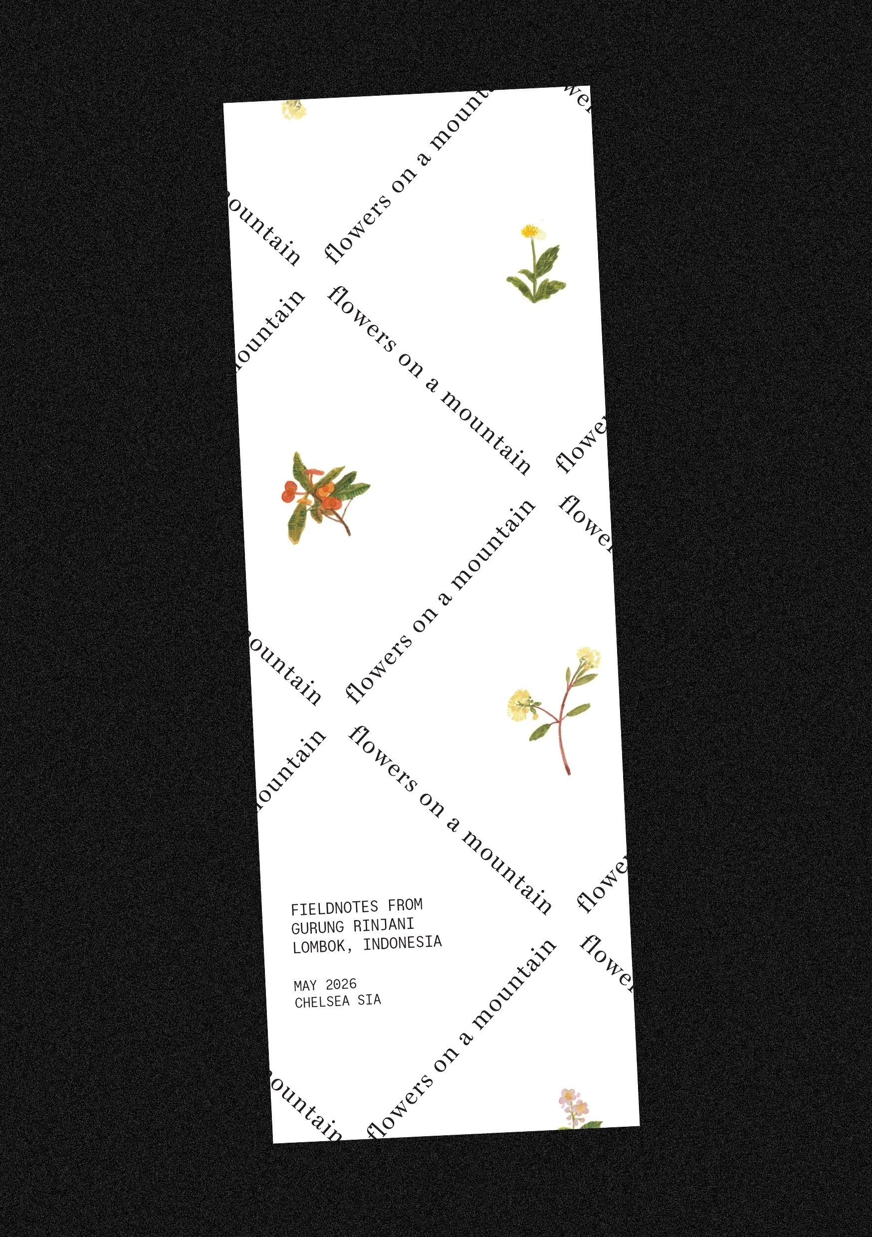 Flowers on a mountain - Zine