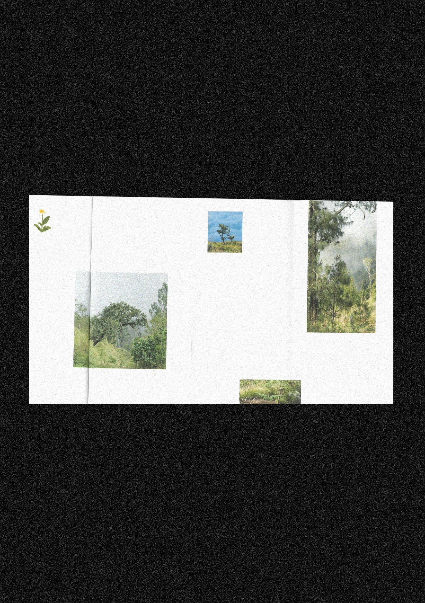 mountain_scan1.jpg