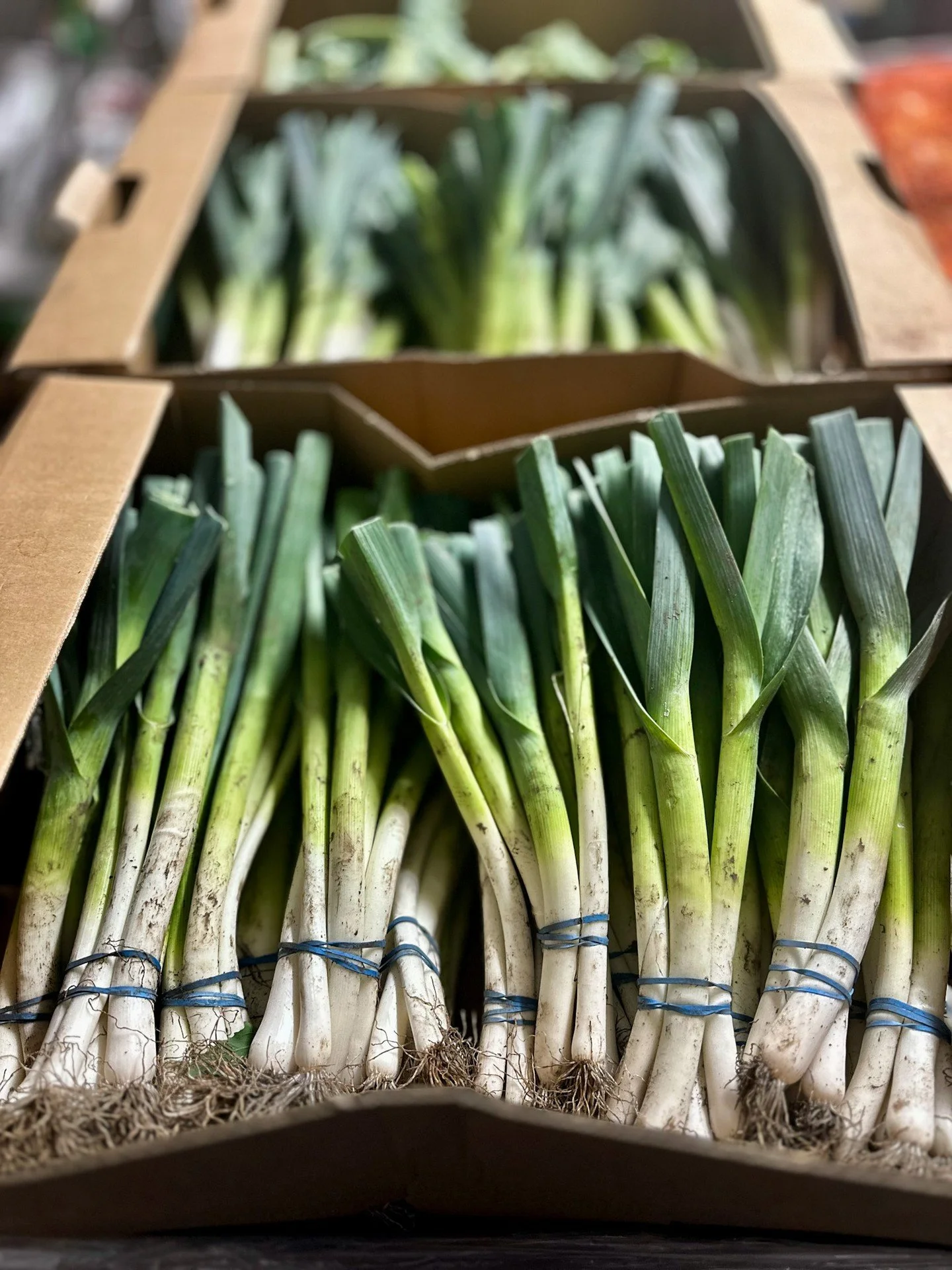 TAKING A LEEK 🥬✨

These total bangers are from our mate in Liverpool, affectionately known as Organic Dan.

Dan&rsquo;s been farming since he was 13, when he first rented five acres off his uncle &mdash; and he hasn&rsquo;t looked back.

The fertile
