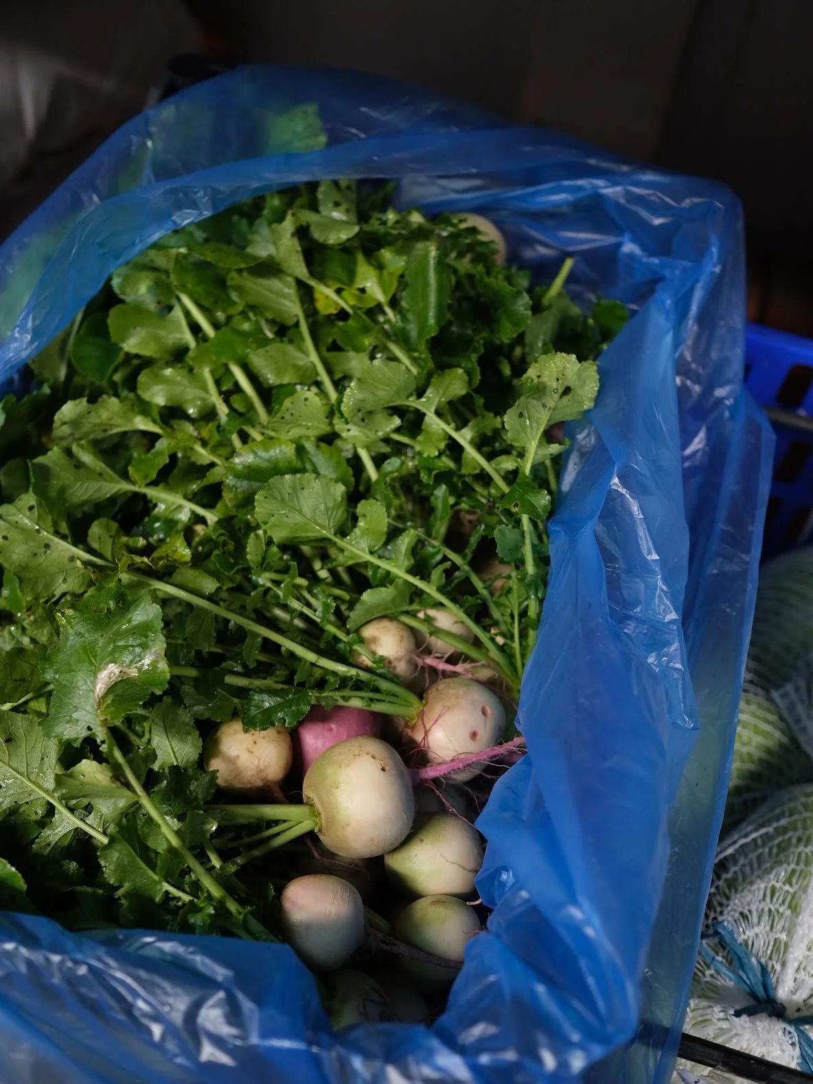 Its a booming time of year and in general, as a small business, keeping on top of the socials is a tricky one!
We love nothing more than sitting down, setting aside the time to indulge a little creativity and really working on accurately articulatin