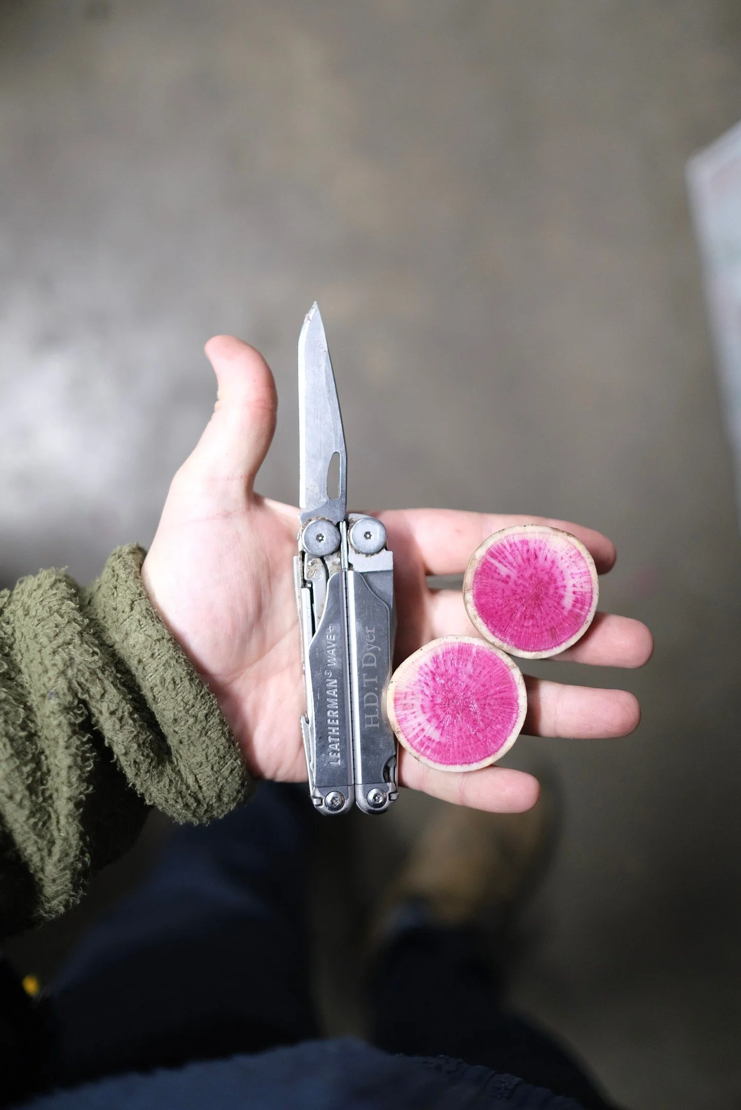 Winter radishes are a jewel of the season, winter workhorses that can straddle roles as a glitzy crudit&eacute; , a flash of crimson in a salad or broth or indeed be cooked into braises, roasted or pickled. One must also make use of the tops. Some go