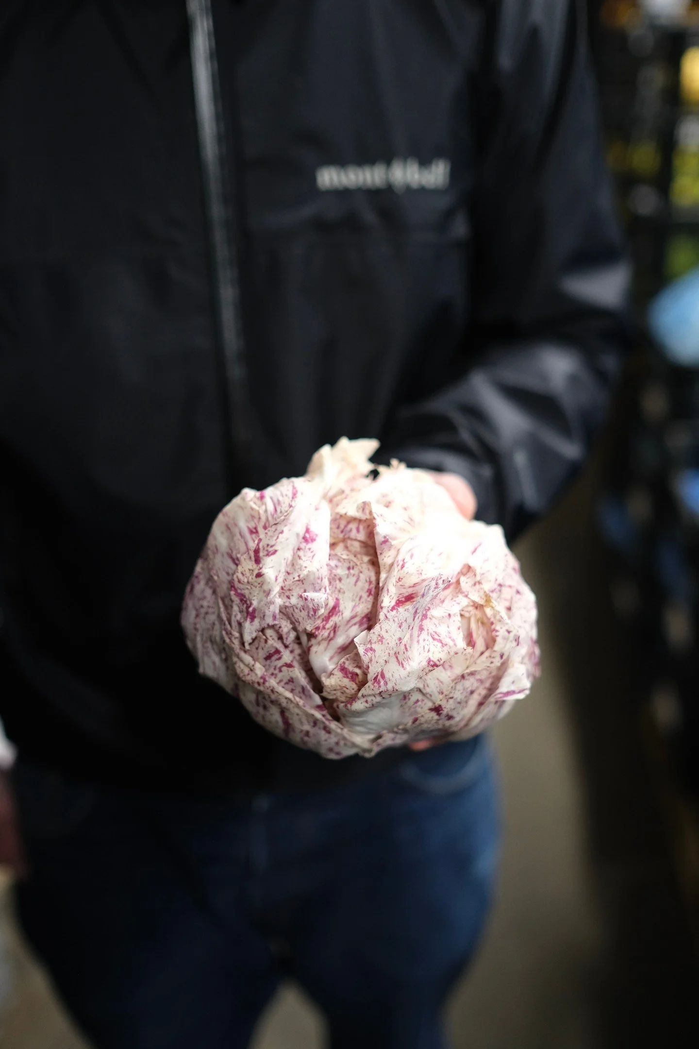 As darkness sneaks up on us earlier and earlier, we think back on what a long dry summer it was and the we're still taking the hits on it (as of course farms are too). 🌄

This glorious Castelfranco grown by @kneppwildingkitchen estate is a glorious 