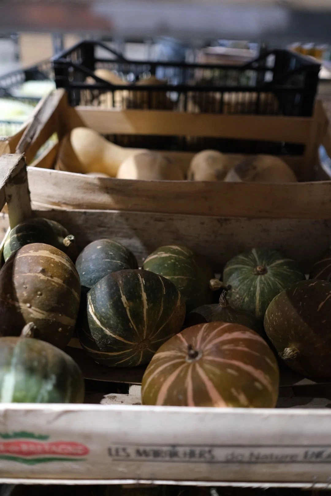 Monday and back to the grind! We're full tilt up to Christmas . The produce is looking mega and the team are hard at it! 

 #MondayMotivation #BackToTheGrind #FreshProduce #FarmToTable #SeasonalVeg #TeamWork #ChristmasCountdown #LocalProduce