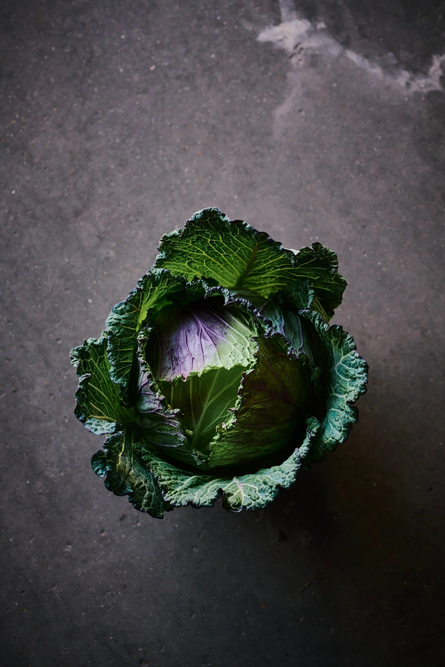 The year of the cabbage it seems! 🥬 And appropriately so in our view... In recent history these brassicas noble crowns have been maligned and made fun of. Treated like a second class veg for old codgers, noses turned up at them when used in anything