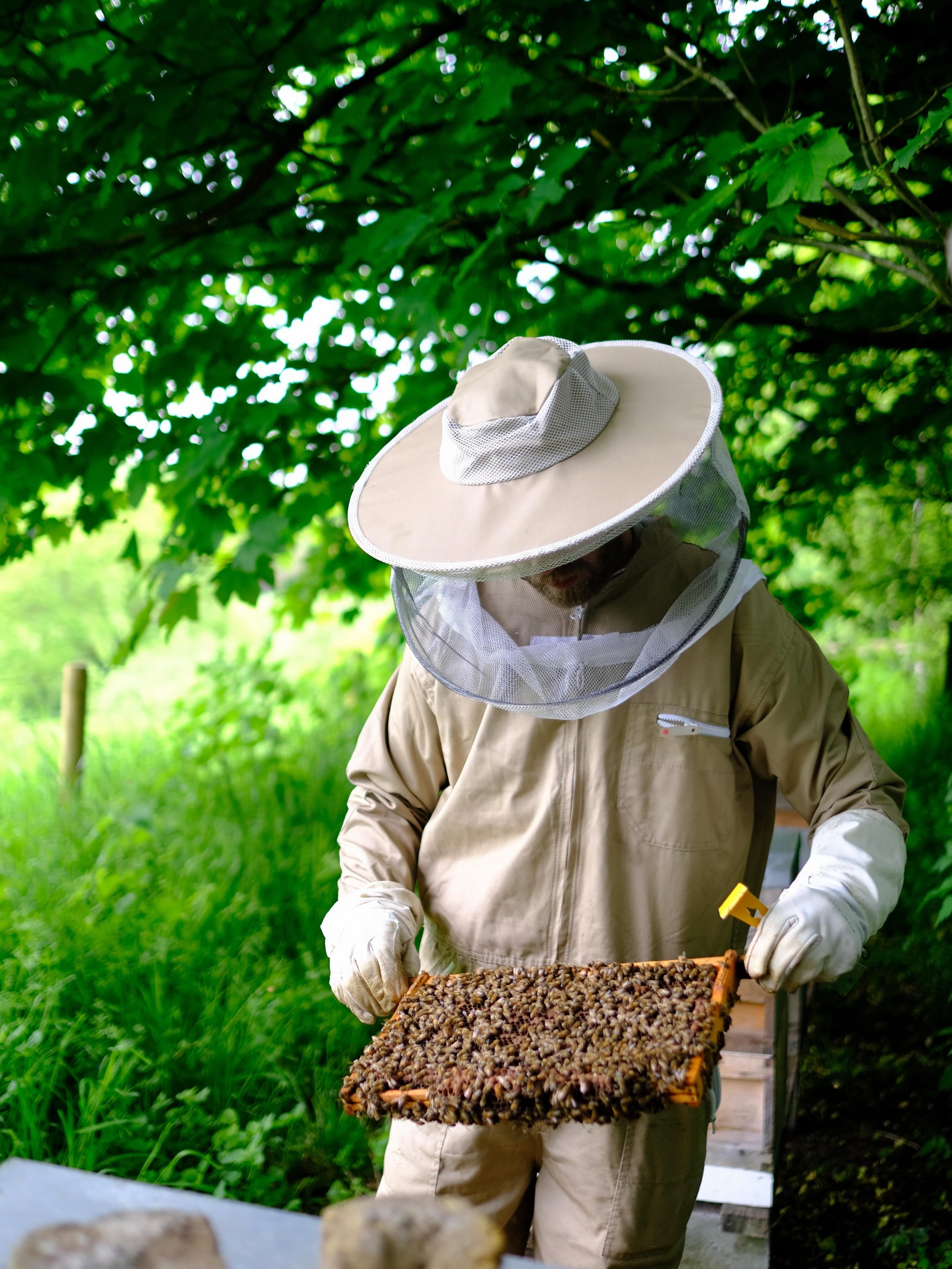 BLACK BEE HONEY! 
@blackbeehoneycompany 

Named after our European native honey bee&hellip;

Apiarists are one of the most unique and unchanged forms of food collecting on the planet. A spear shaft and point has been found to be 40,000 years old with