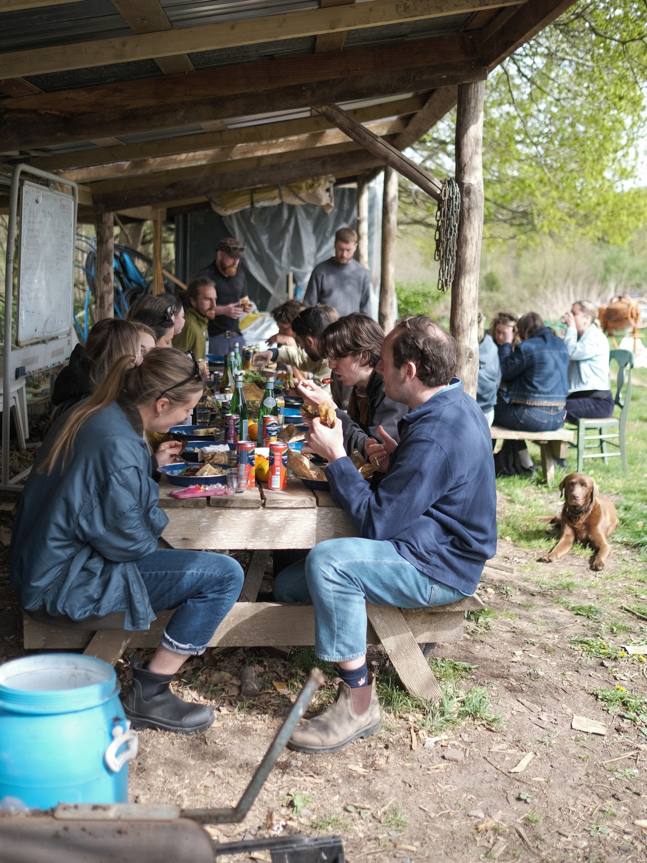 📸: SHRUB Farm day @edsveg with @spring_ldn 

If you haven&rsquo;t heard how tough it is out there right now for hospitality you&rsquo;ve either been living in a hole or remain blissfully ignorant, which we&rsquo;d envy.

Guess what, farming right no