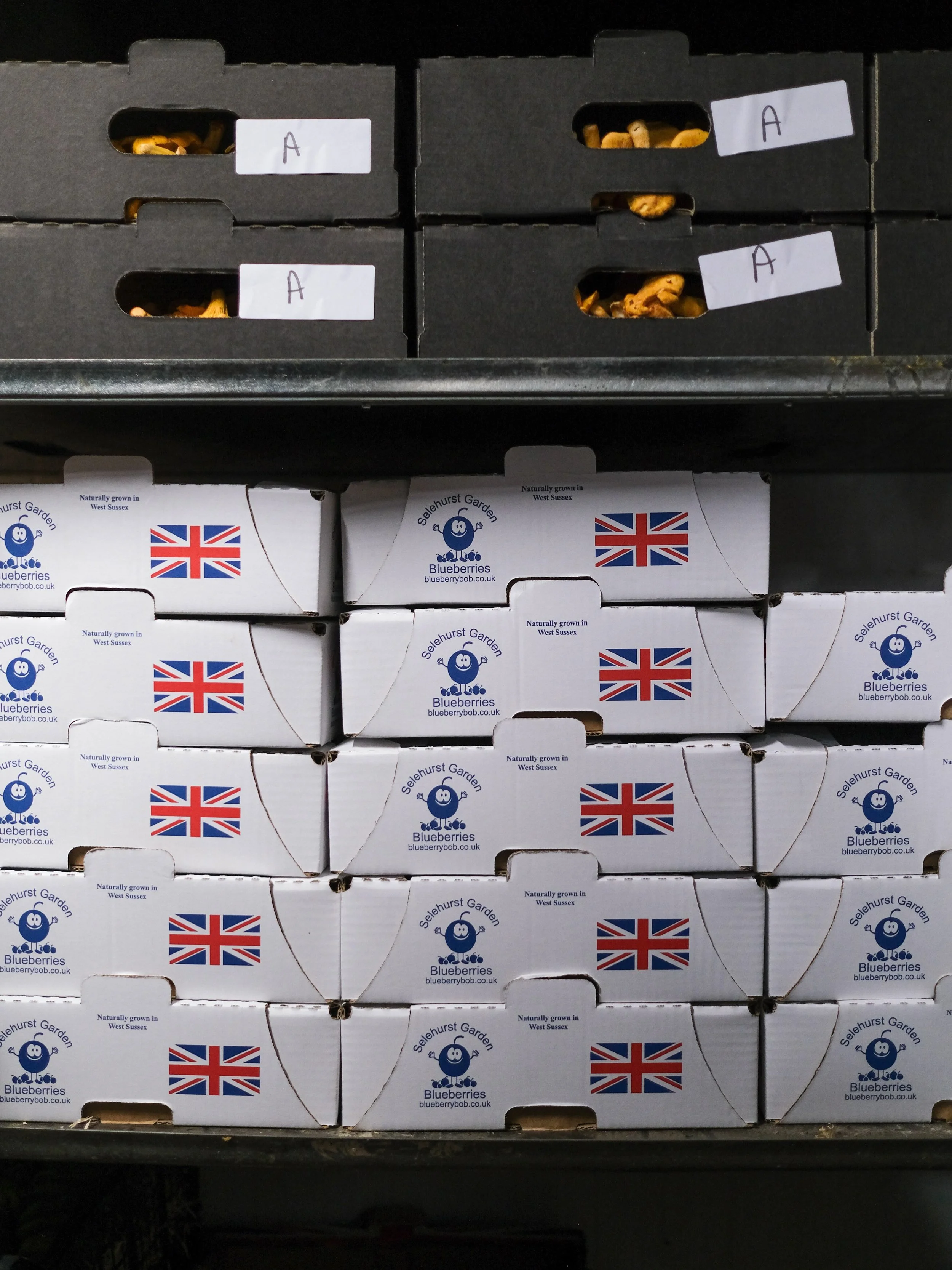 One sometimes refelcts on the things that they find meaning and value in and wonders if others feel the same...

Why would they? Why wouldn&rsquo;t they? Wonder what they value the same way?

When we look at these boxes, they represent another footho