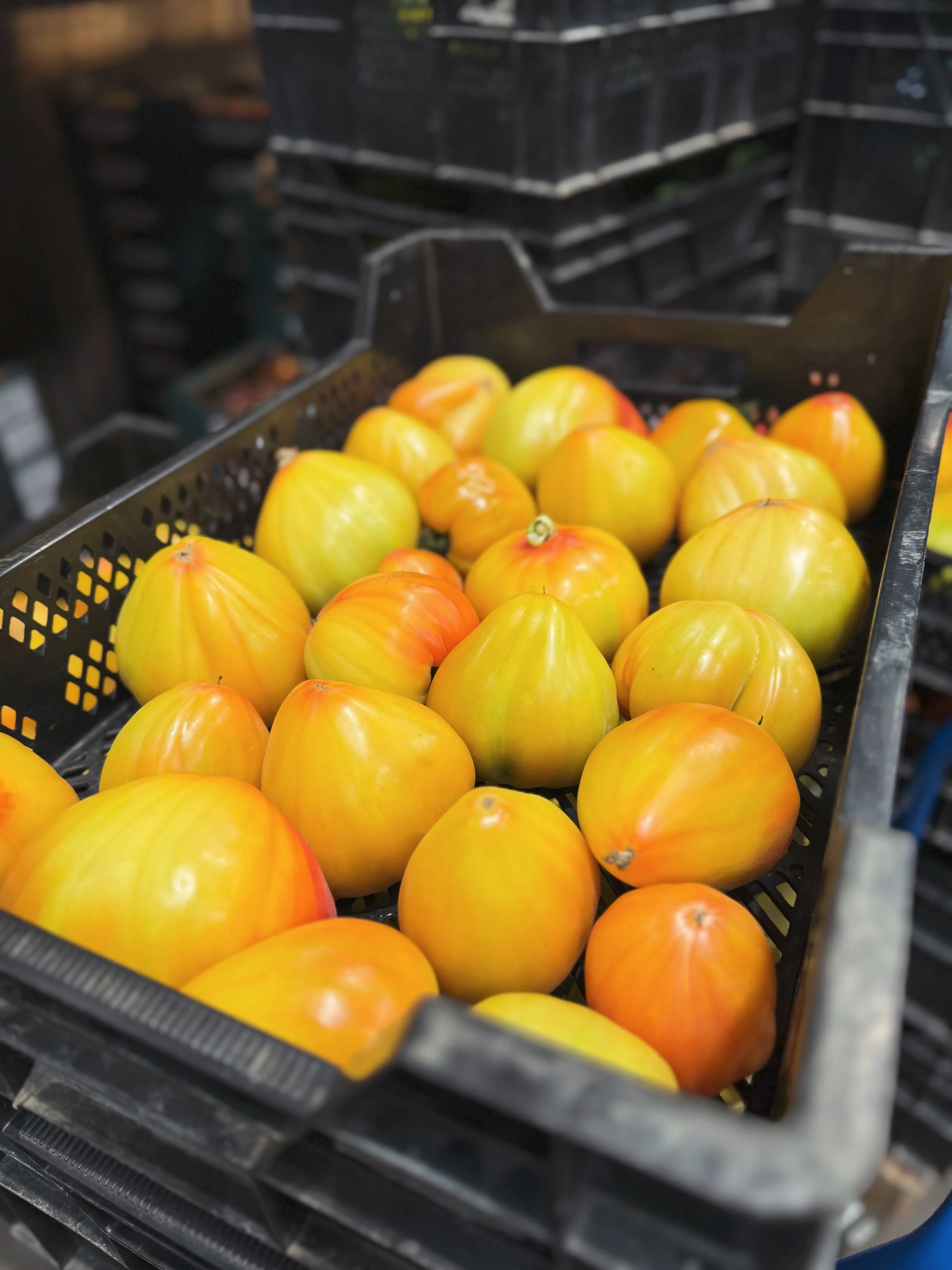 It&rsquo;s the time of the Earth-Grown Tomatoes! As ever, first on offer from @kneppwildingkitchen with their famed Sonnerherz variety! Hefty, robust, exceptionally fruity and aromatic.

With increased light levels this year and superb soil health pr