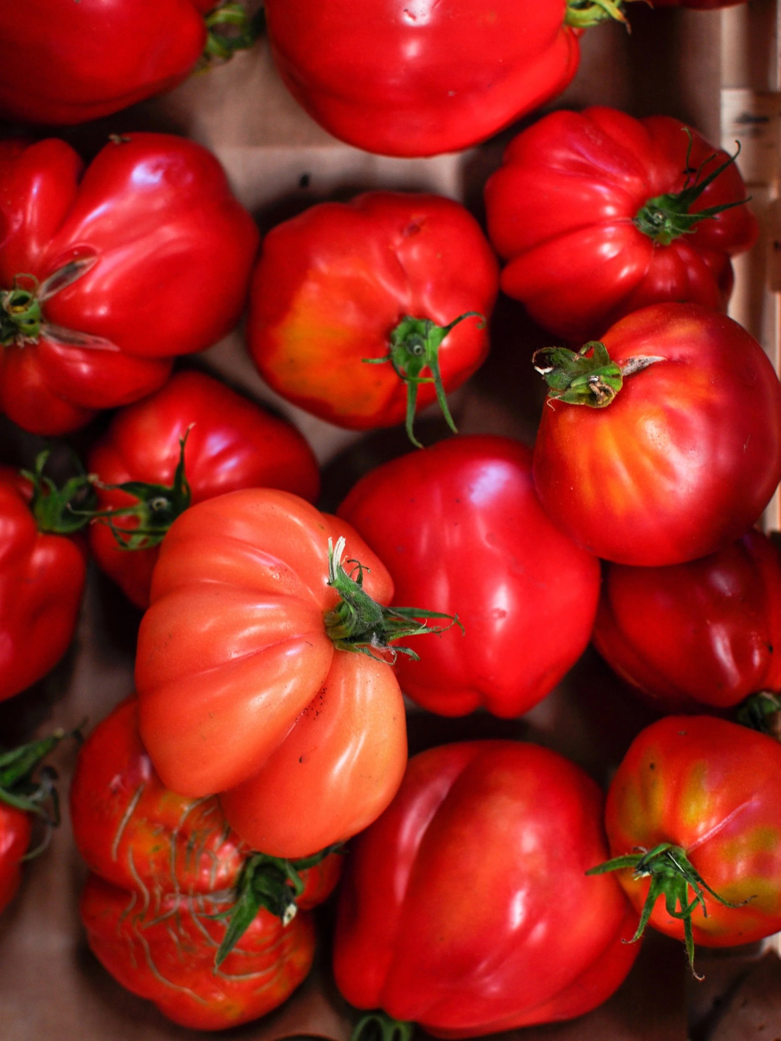 At least the tomatoes that ARE making it through the heat are getting a big sunny smooch. Flavour of fruit is superb this season but everything is battling heat and drought. Farmers pulling out all the ingenuity stops to make their crops yield - no o