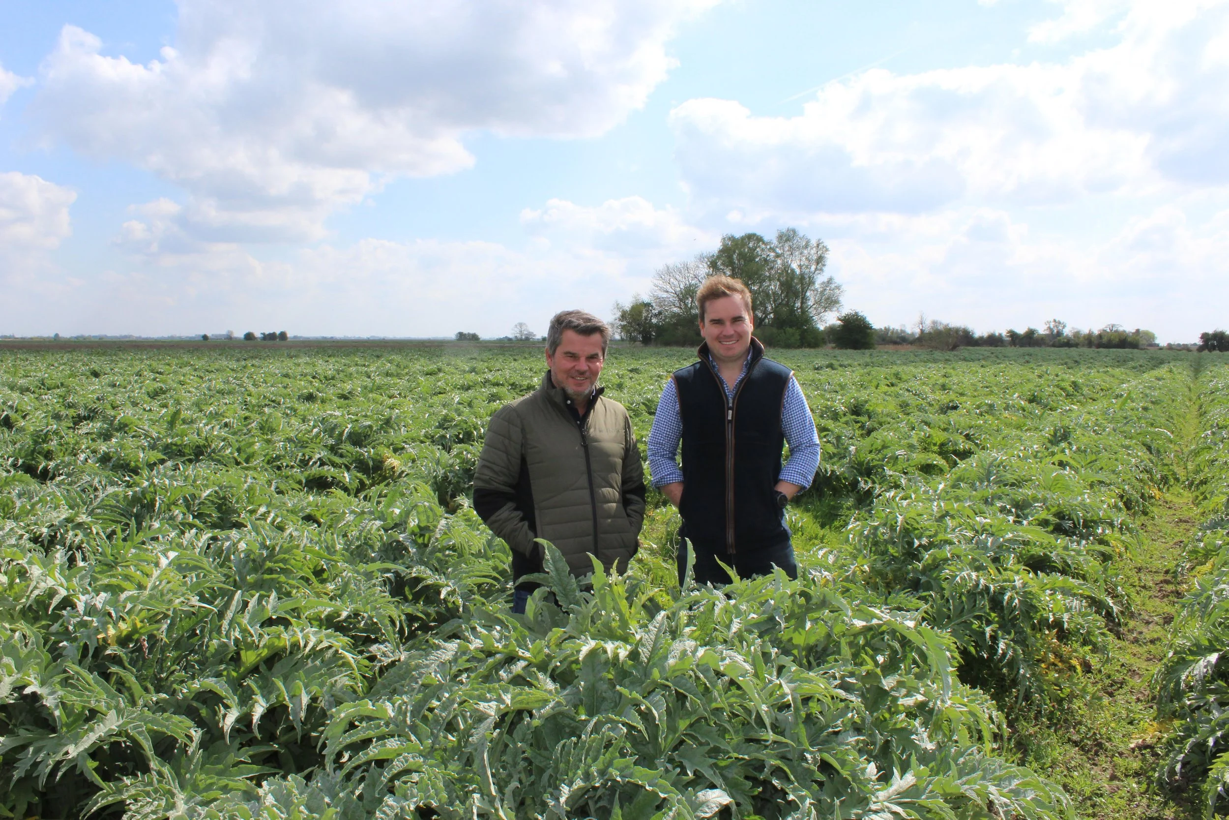 Bedlam Farms Organic