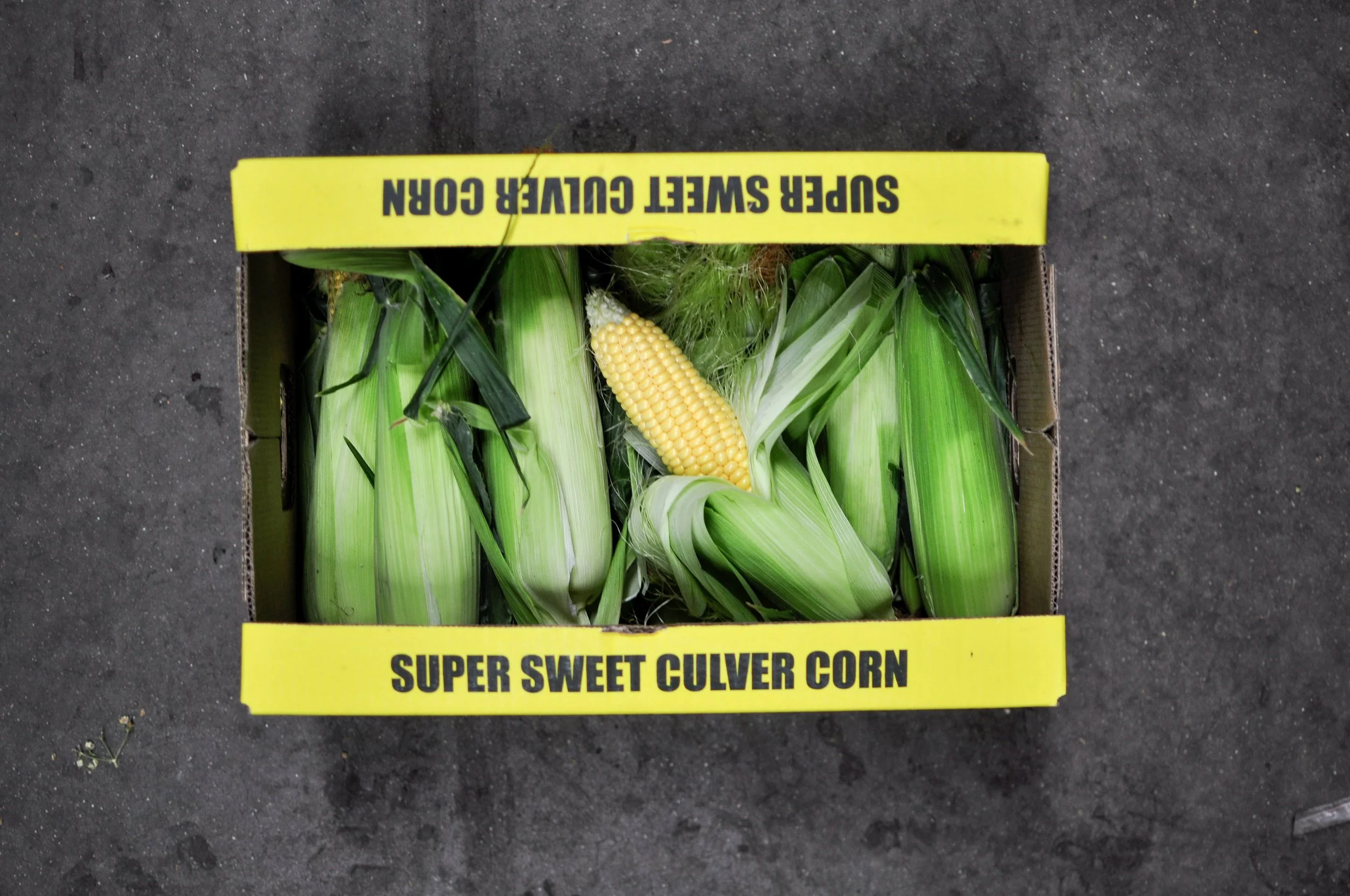 Culver Corn