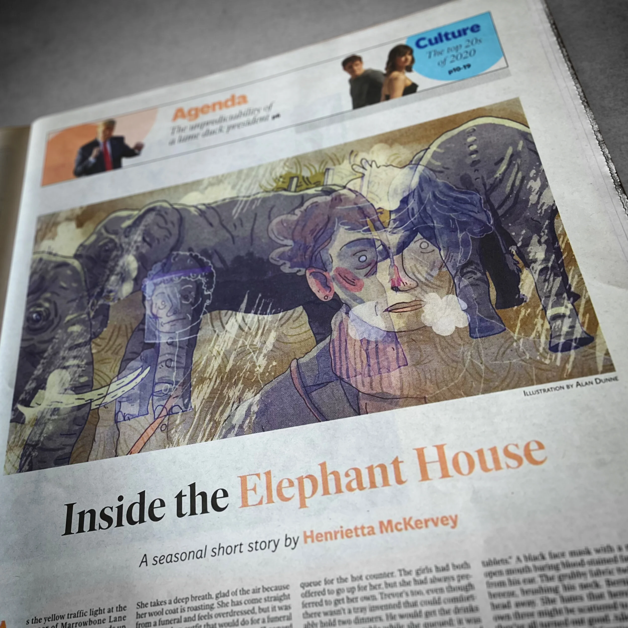 AlanDunne_InsidetheElephantHouse_Image03.jpg
