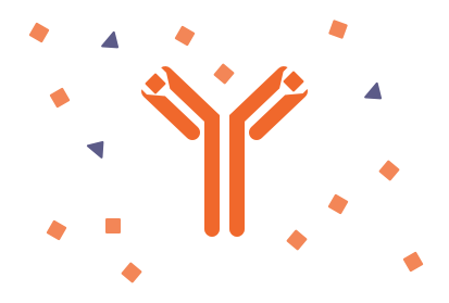 High square concentration.png