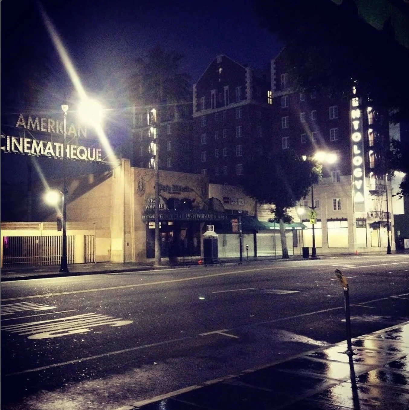 Hollywood Boulevard, 02/16