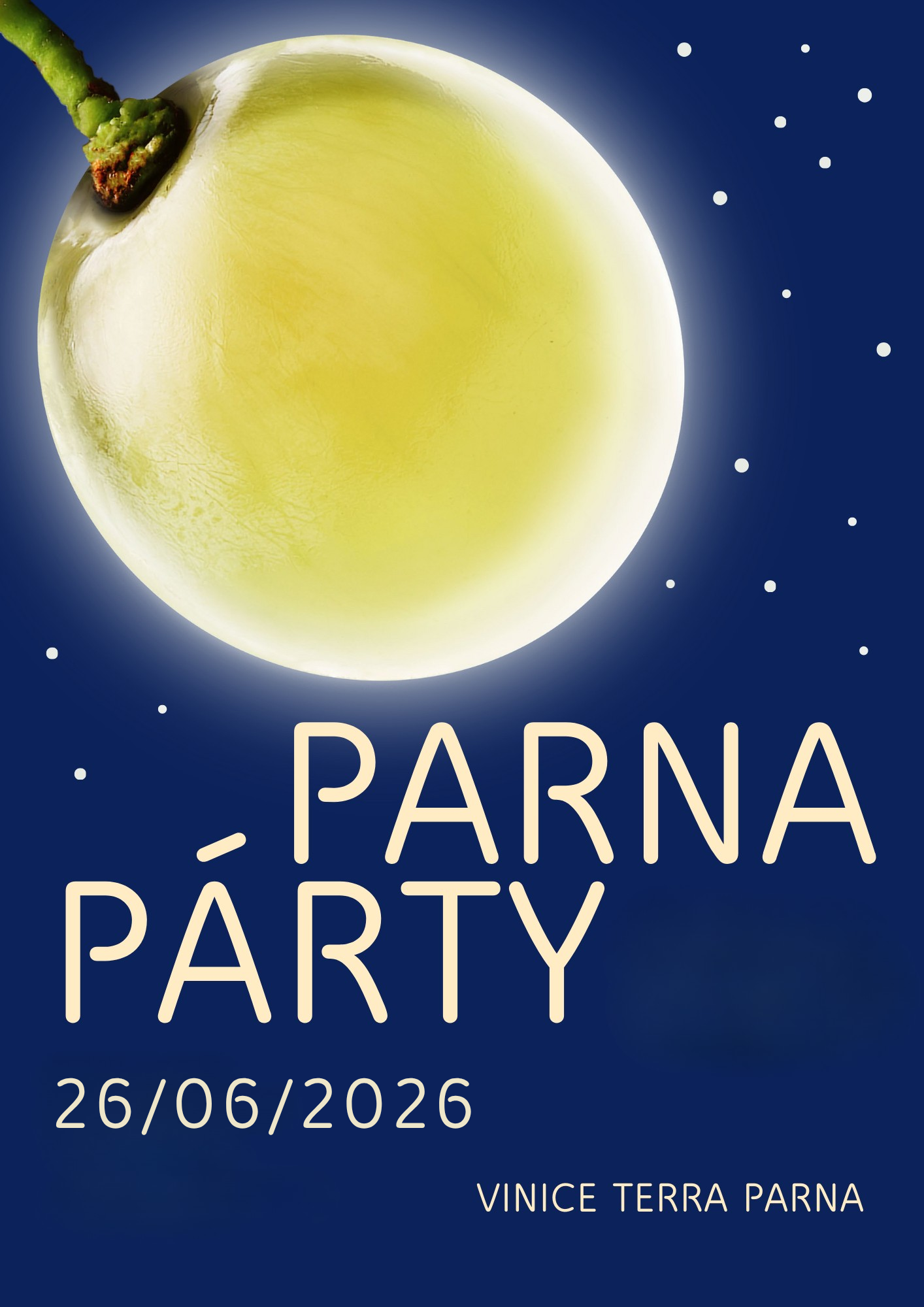 Parna Párty