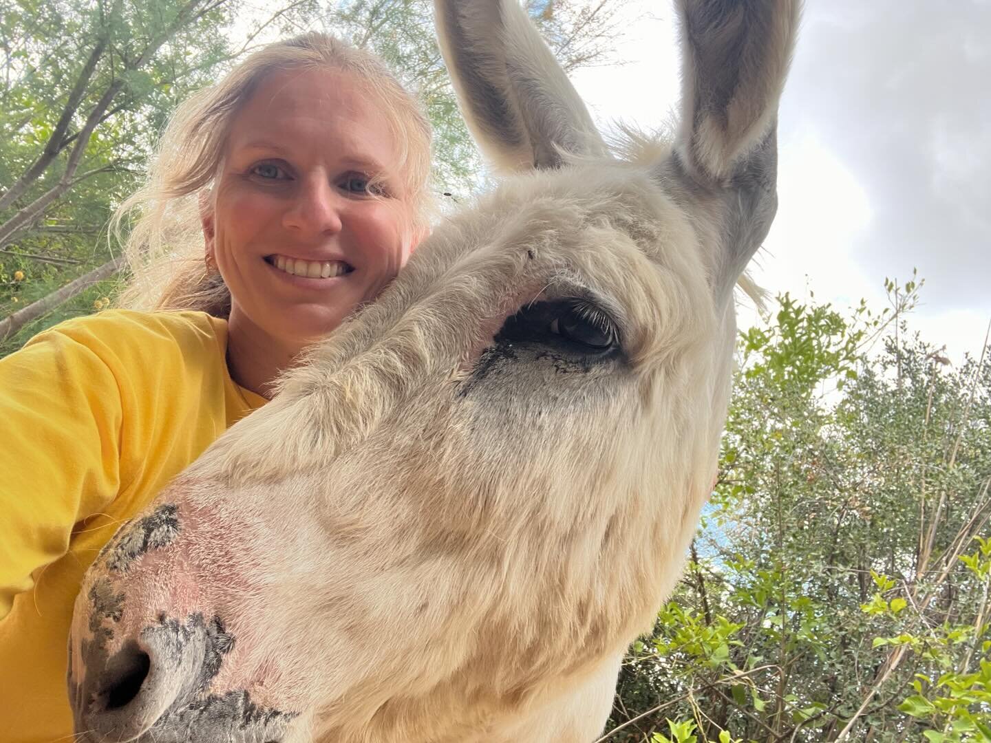 Not shown my face on the grid for a while, Hiiiiii to all the new followers to my page.

Fun fact about me:

Forever being photobombed by Donkey&rsquo;s. 

Photos of me and my favs (Barry, Steve &amp; Ronnie) from my time spent volunteering in Spain 