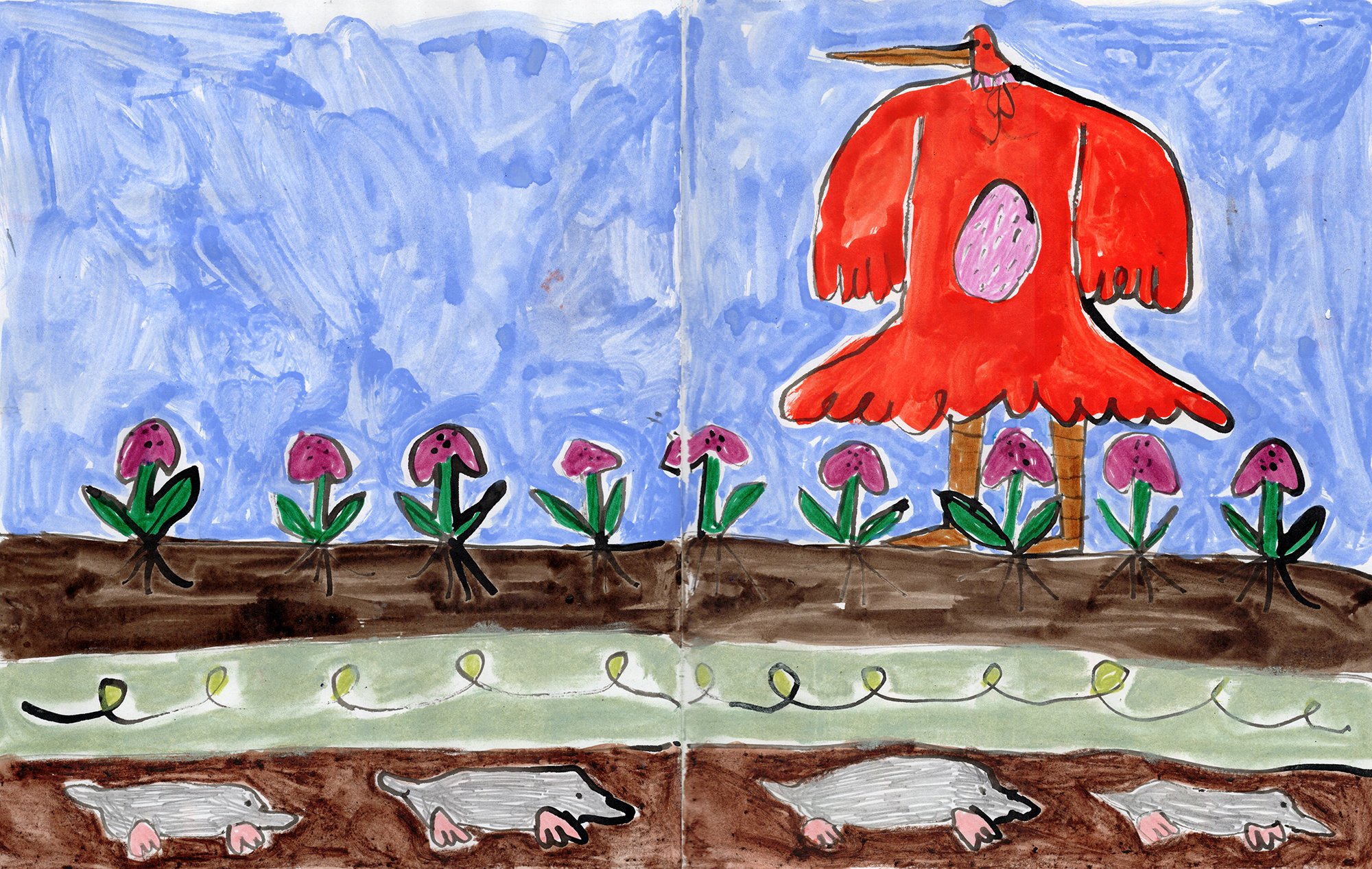 Garden drawing, made during Fish Factory residency, Iceland