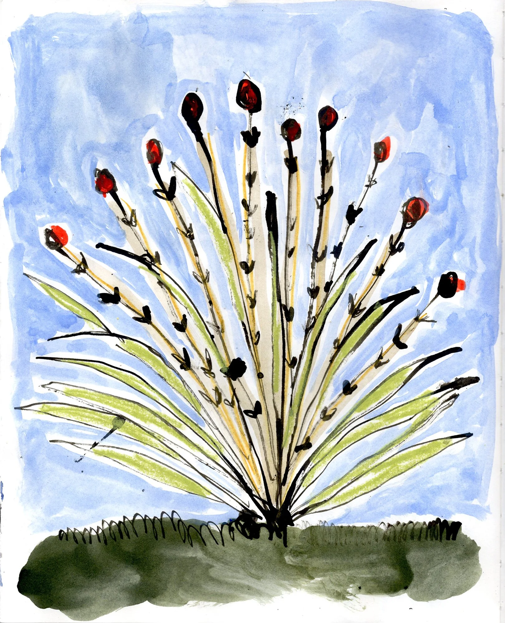 Grass from Cadderlie bothy, Scotland