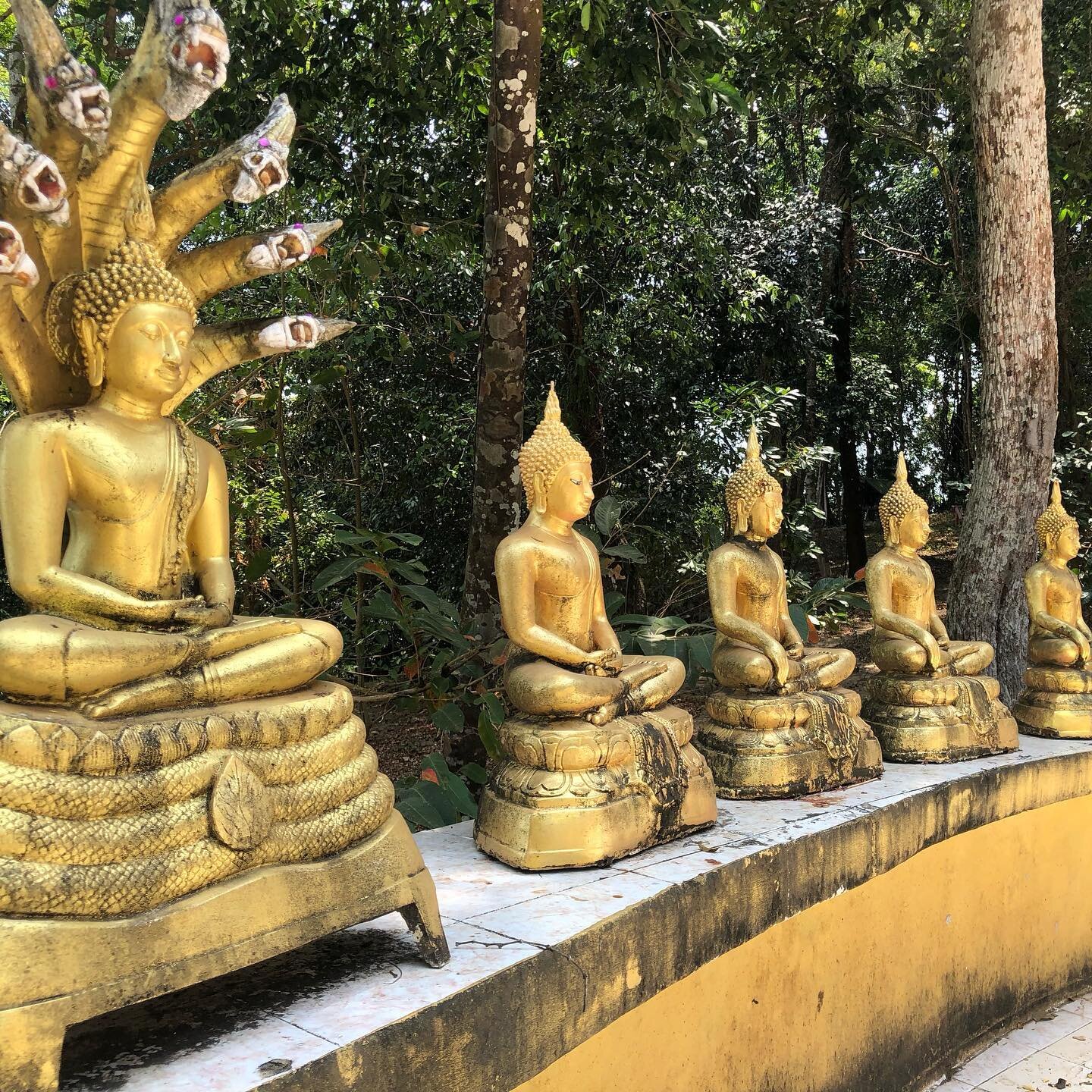 Zur&uuml;ck aus dem wundersch&ouml;nen Thailand.

Ich bin dankbar f&uuml;r diese wohltuende M&auml;rzpause. 

So viel Sonne und Meer. 
Kokosn&uuml;sse und Mango. 
Bunte Farben.
Wasserf&auml;lle.
Dschungel. 
Affen und Geckos.
Einfach Sein. Ohne Pl&aum