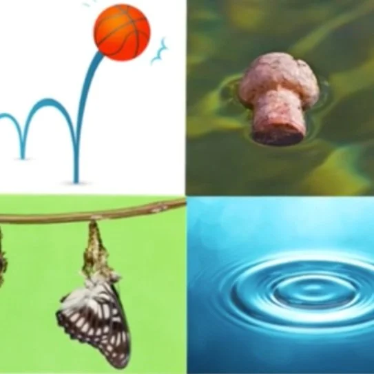 Resilience: facing external challenges as we emerge