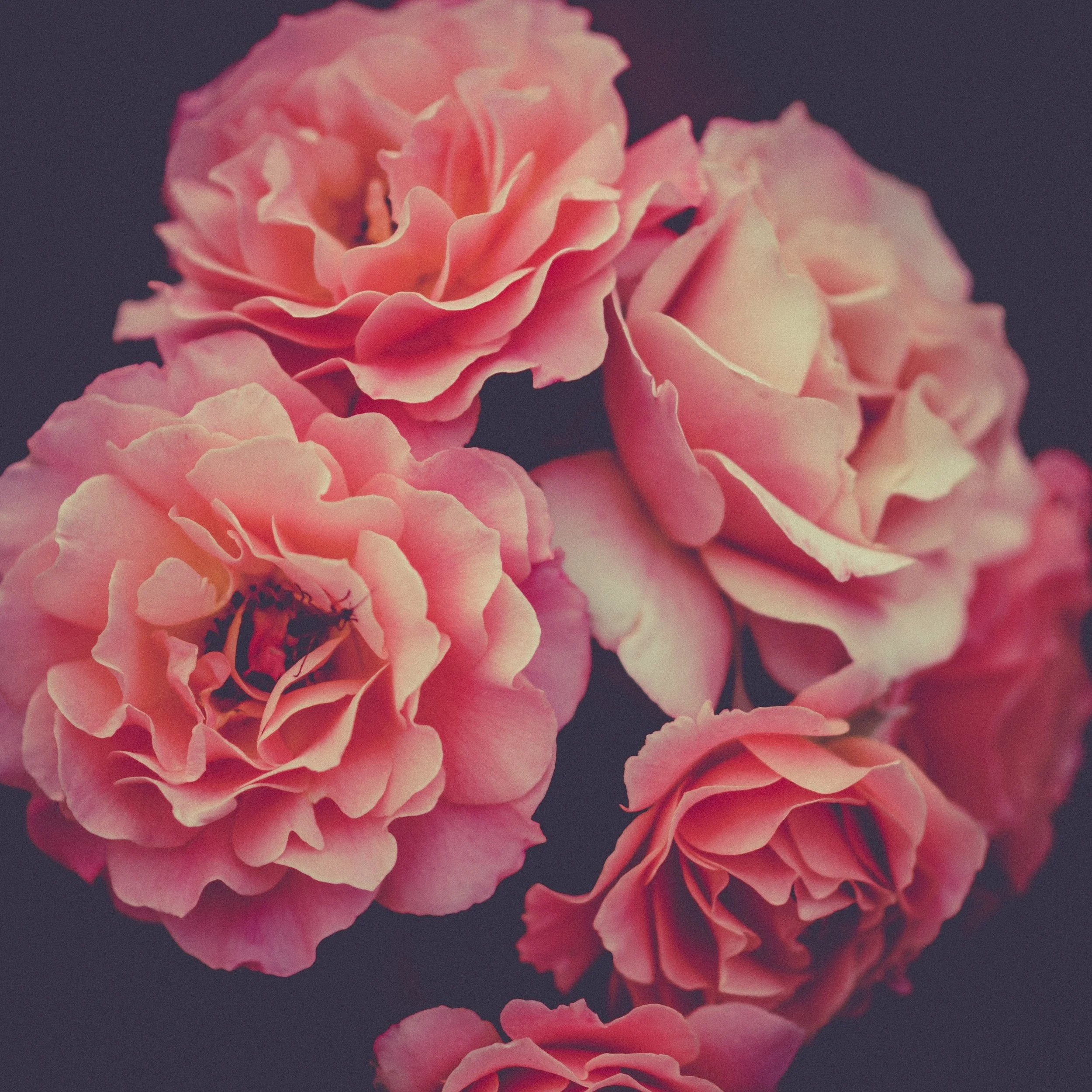 Letters to my daughters: July - BLOOM