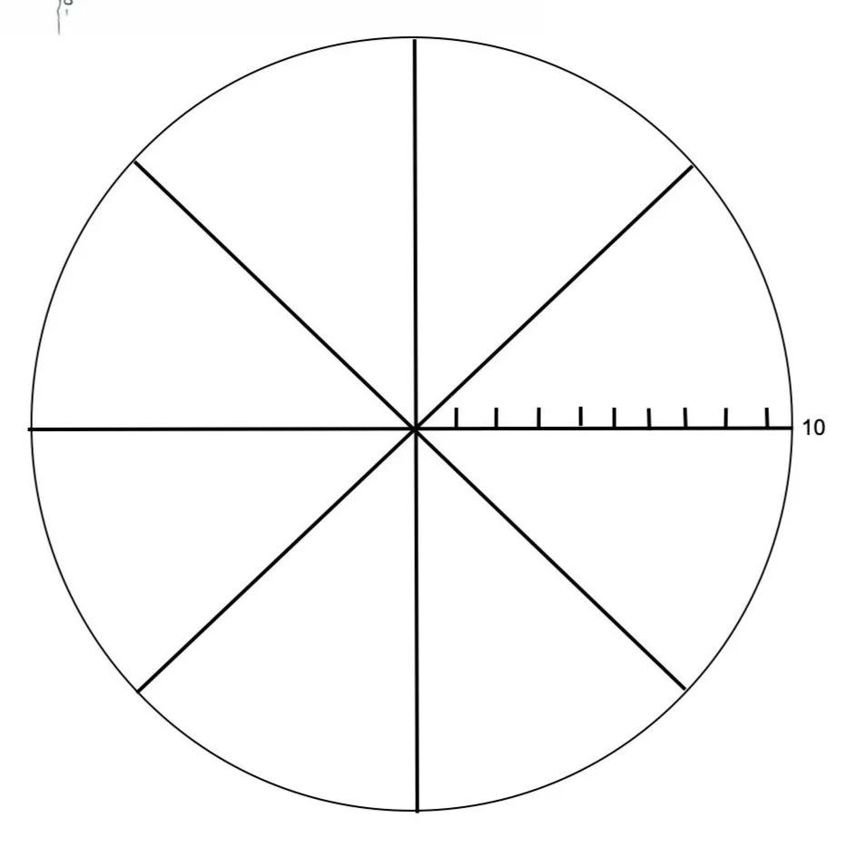 Wheel of Everything: ENJOY