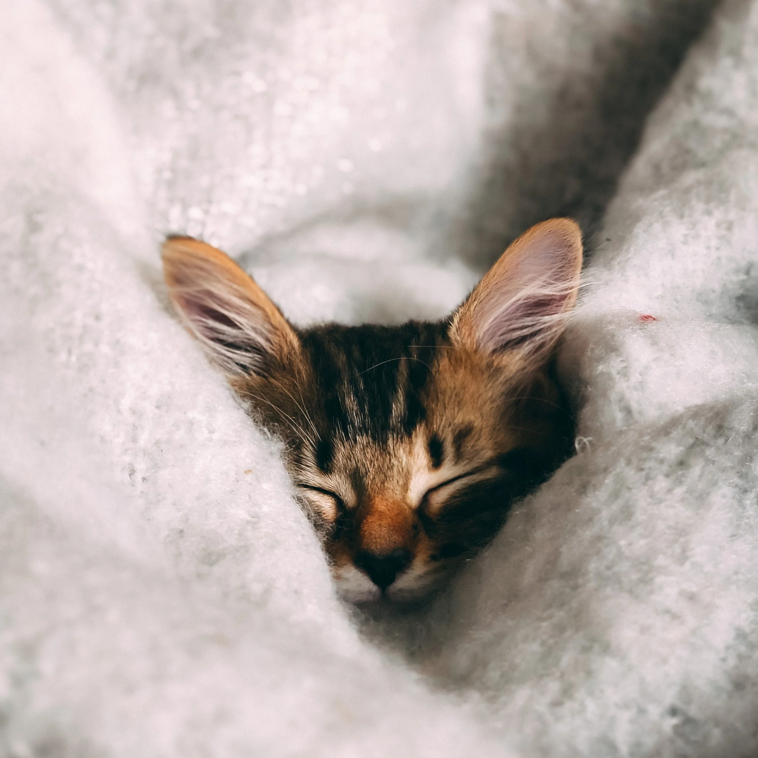 8 healthy sleep habits