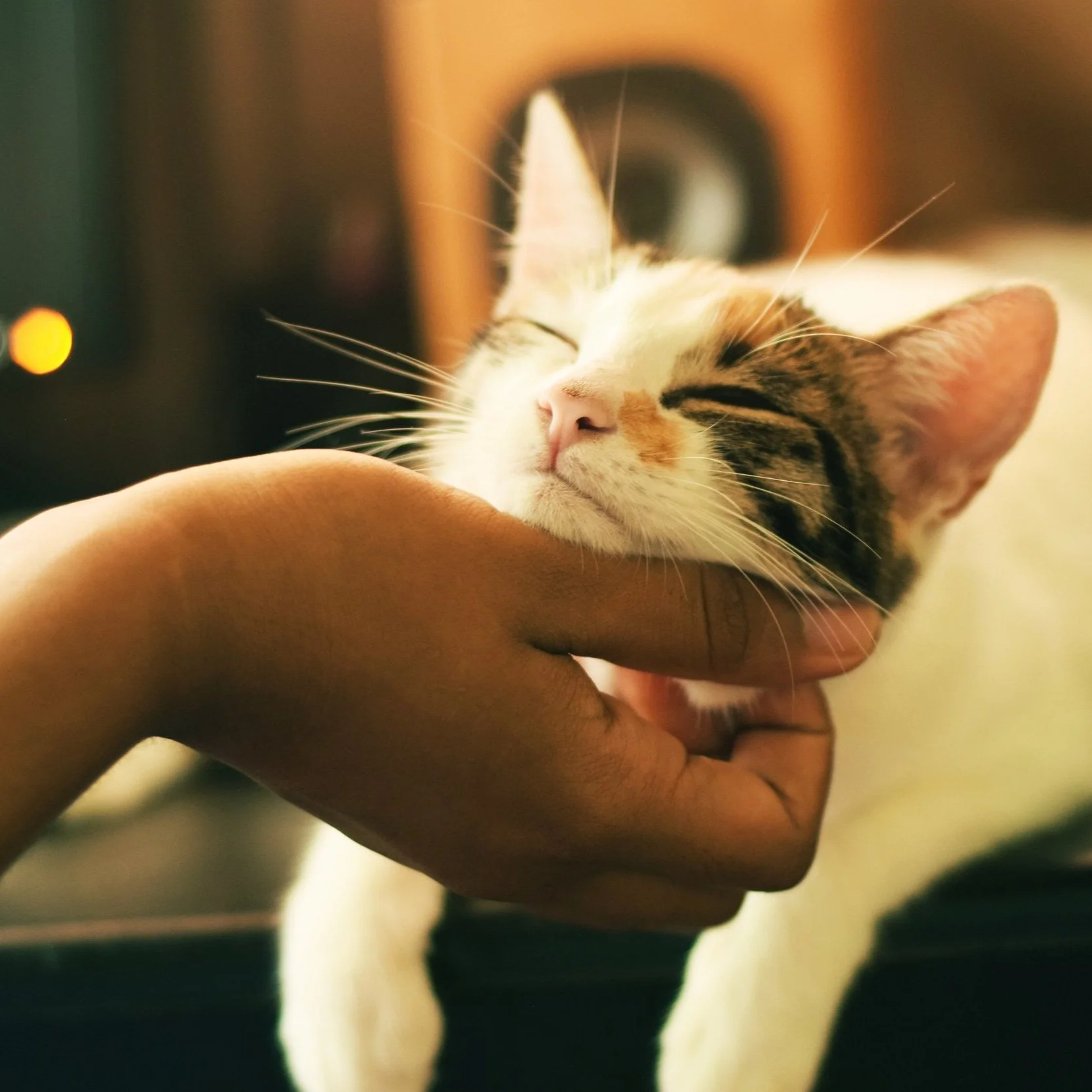 Moments of love