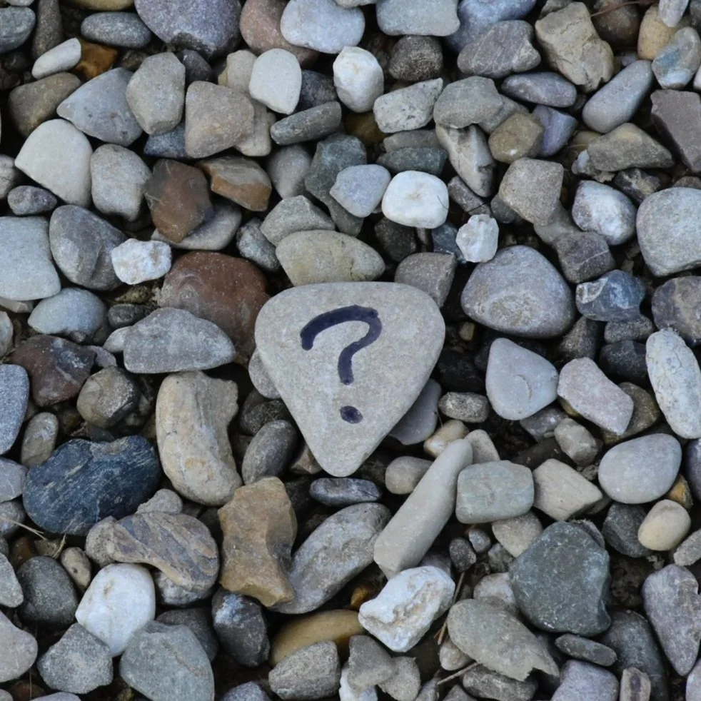 Blind Questions: what do you want in 2024?
