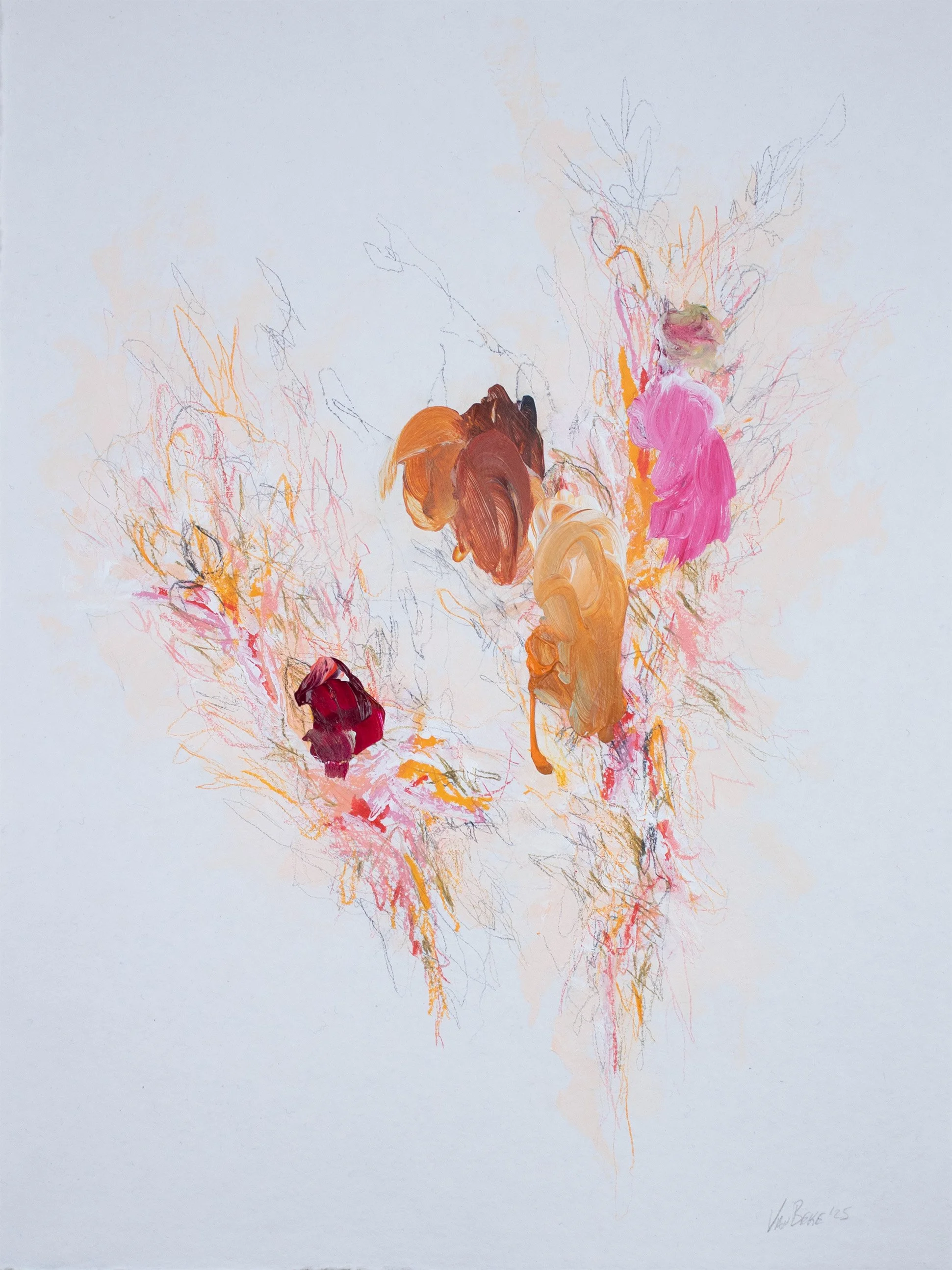 Timothy Van Beke