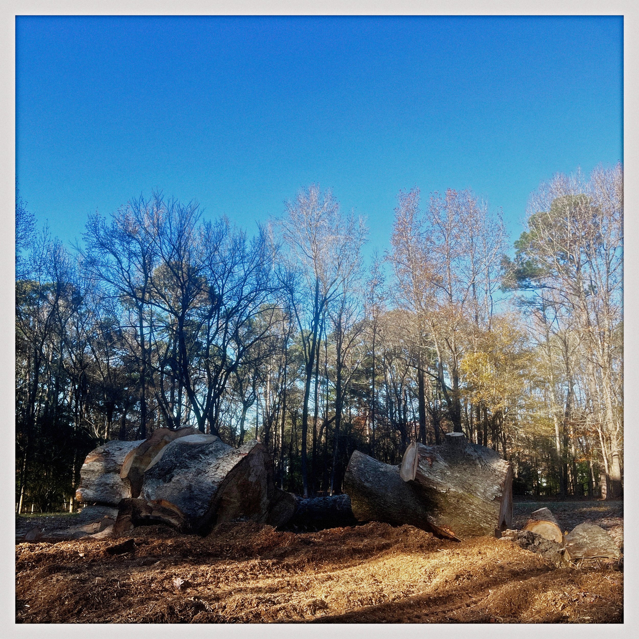 HipstamaticPhoto-755726160.001143.jpg