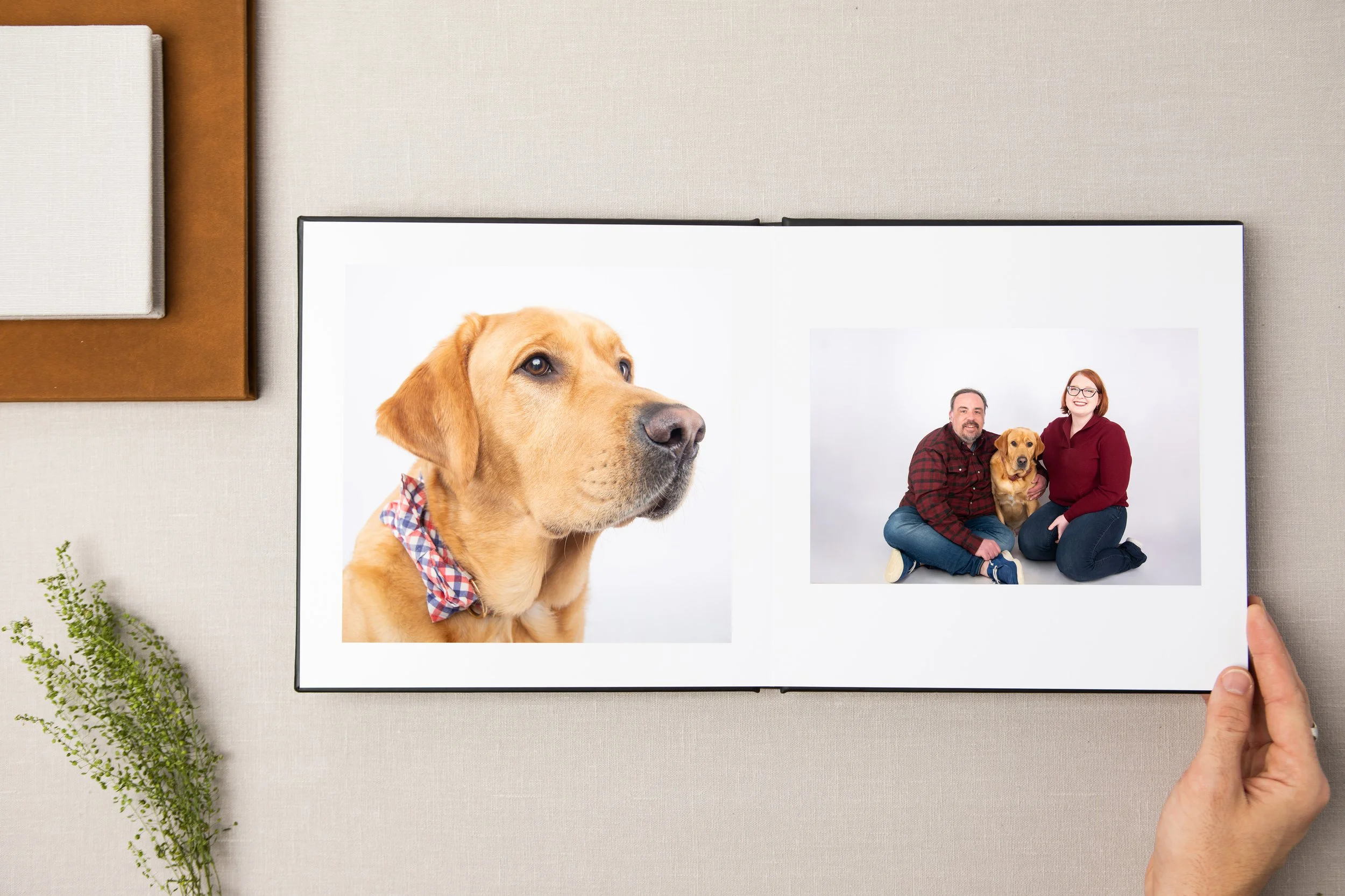 Pooch Playoffs Album.jpg