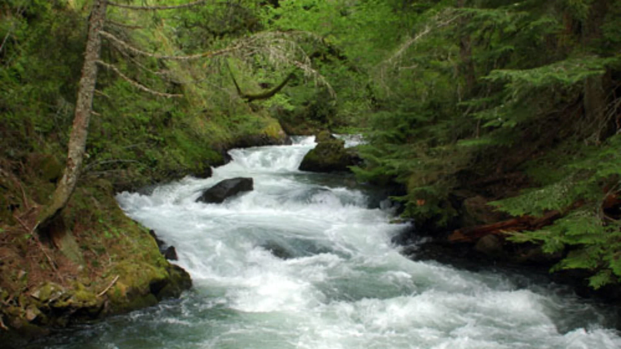 MOVING AT GOD’S PACE…