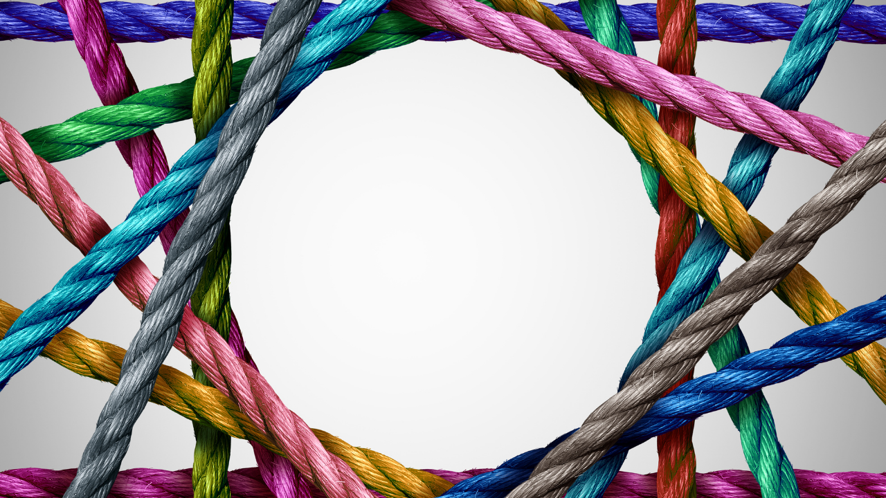 Is Diversity a Normal Response? 7 Necessary Steps to Achieve Diversity