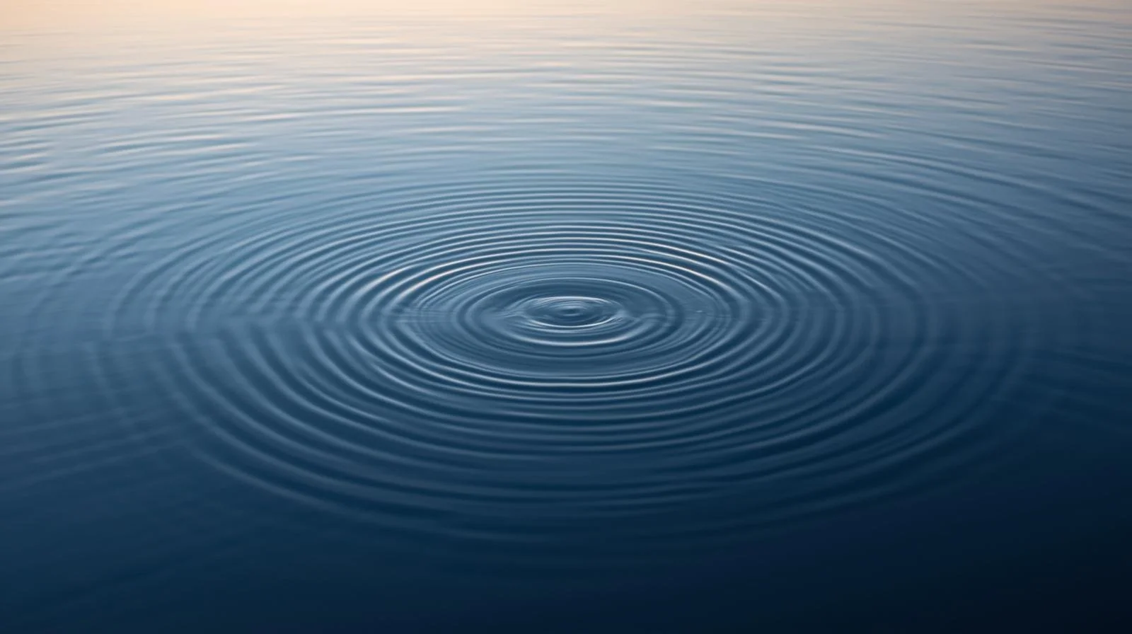 Your Energy Leads First. Your Words Lead Second