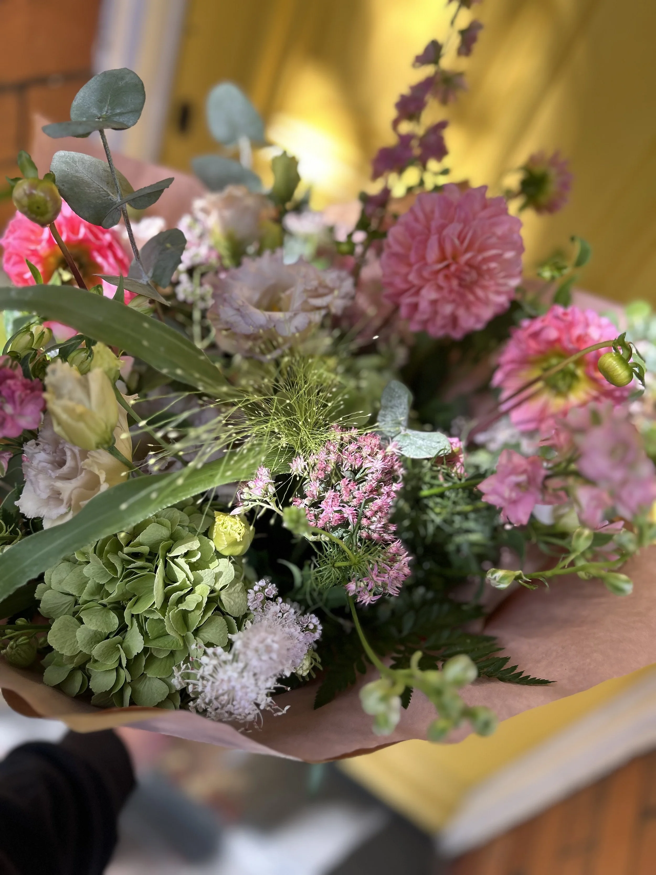 IMG_9247.jpeg