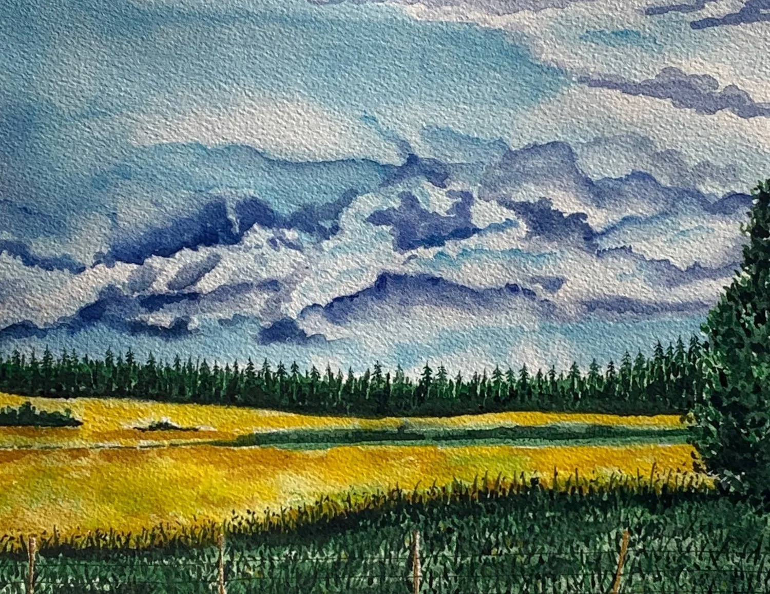 Summer Fields Watercolour Shelley Williamson Artistry After The Rain.jpg