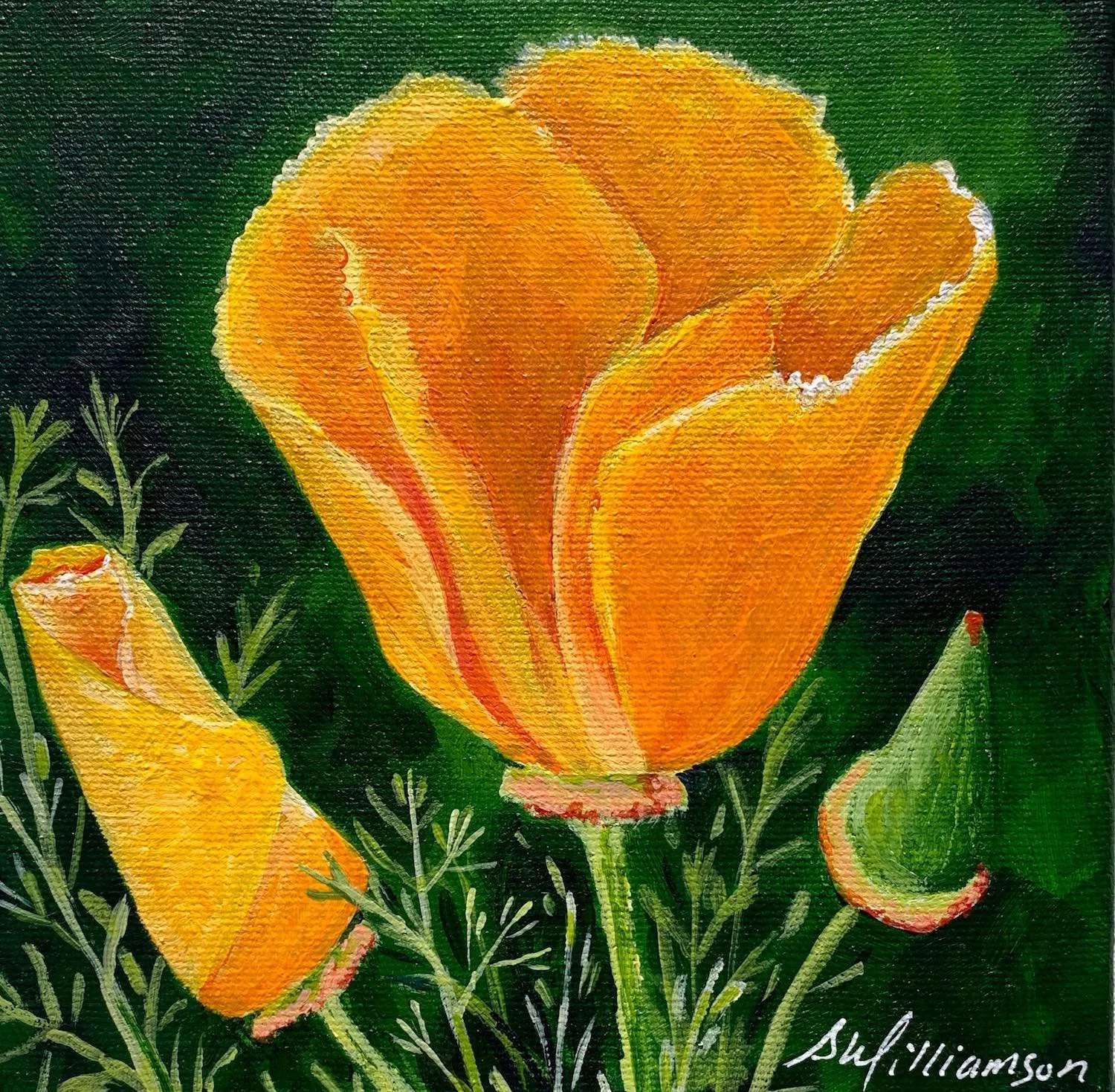 Poppy Acrylic Shelley Williamson Artistry On The Bright Side.jpg
