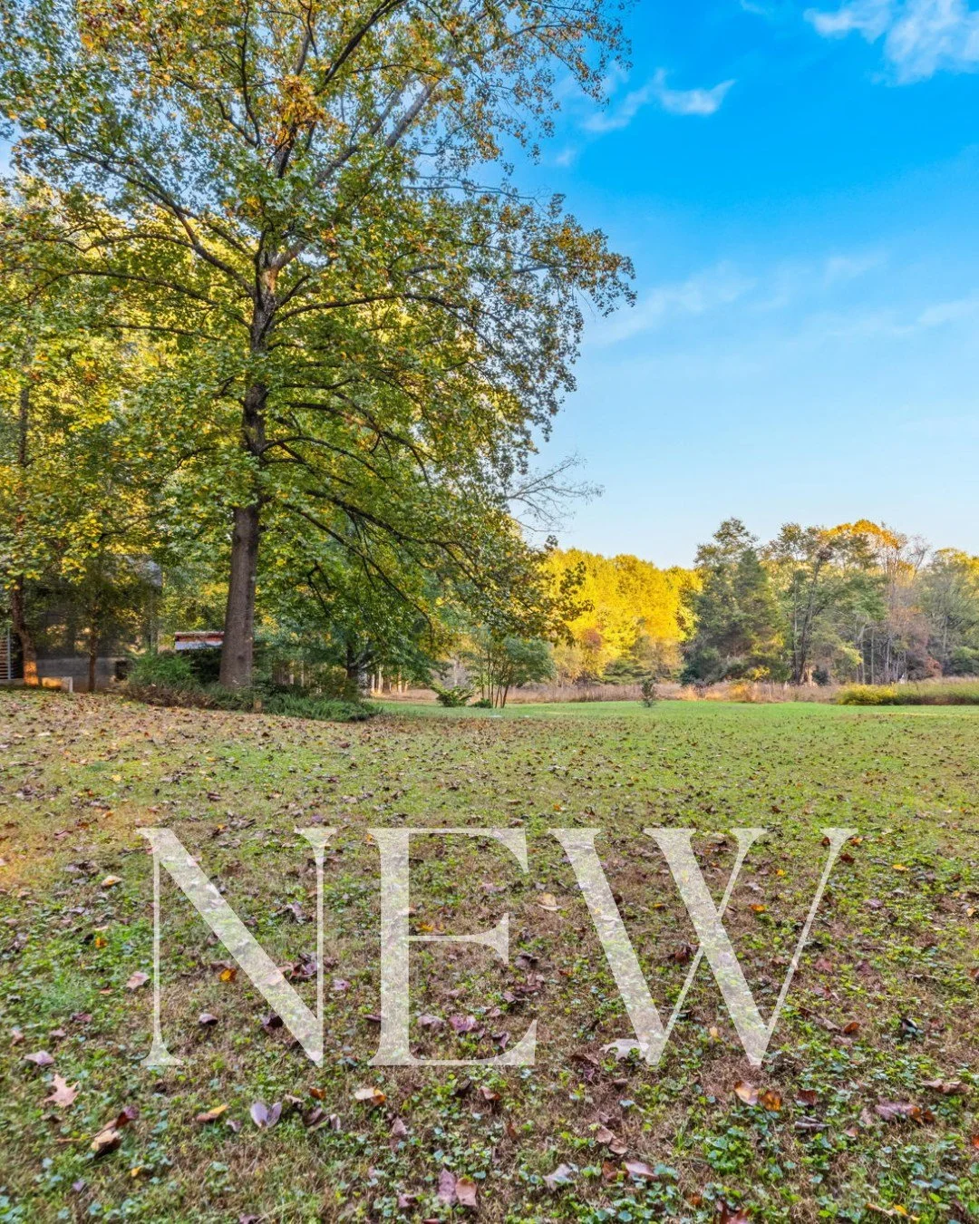 POV: your morning coffee comes with 5.65 acres of view :coffee:
This one-of-a-kind midcentury rancher feels like your own private retreat. A picture window frames the landscape, the vaulted living room gathers everyone around the fireplace, and handc