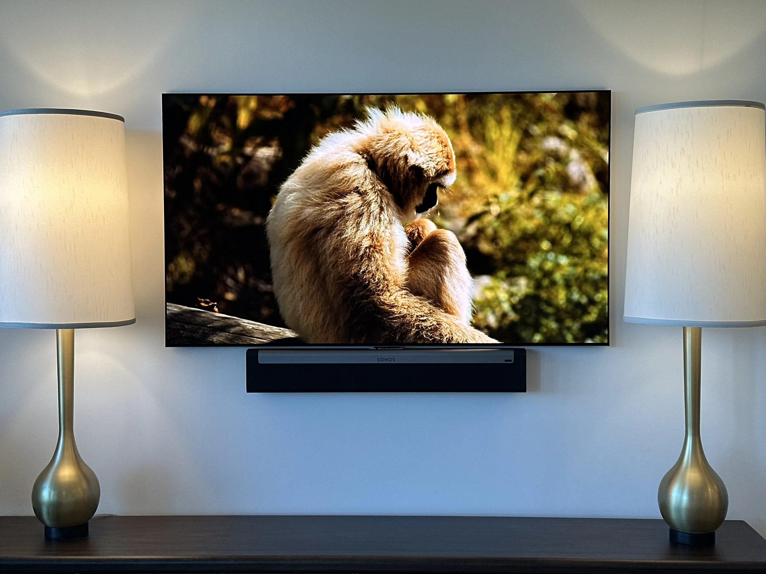 65" LG G4 with Sonos playbar