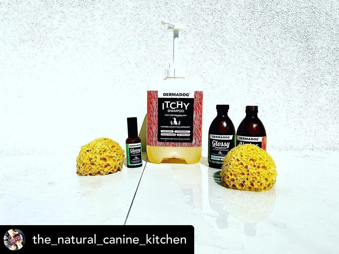 Posted @withregram &bull; @the_natural_canine_kitchen HOW OFTEN DO YOU BATH YOUR DOGS? 
I don&rsquo;t often bath my dogs. I live with 14 Chihuahua&rsquo;s. They are only ever offered fresh home made food and simply don&rsquo;t smell very much due to 