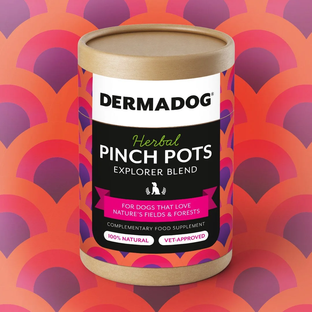 Pinch Pots: Explorer Blend (Pre-Order)