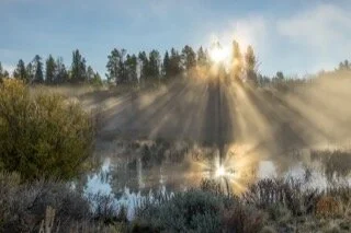 Come Talk with Me for You Can Trust Me