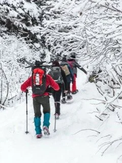 My Trailblazers are Needed in These New Times