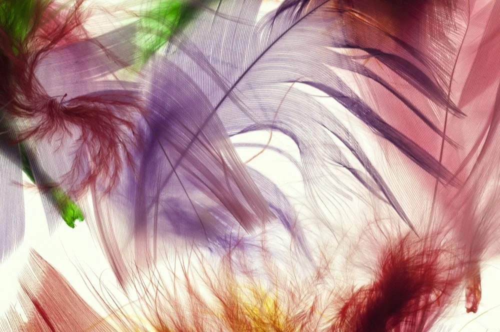 Be Ready to Catch the Wind of My Spirit