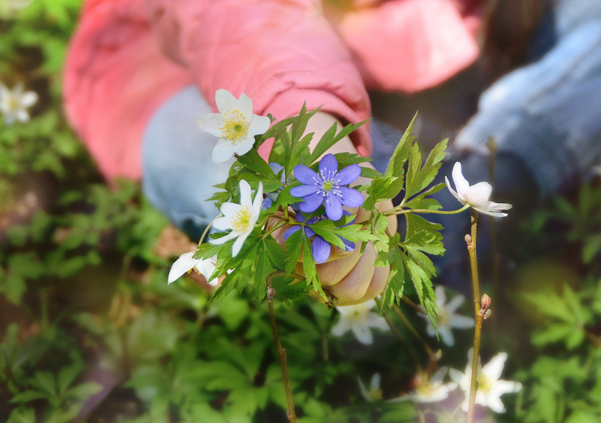 Let My Sincerity Move in You and Spread Across My Nation