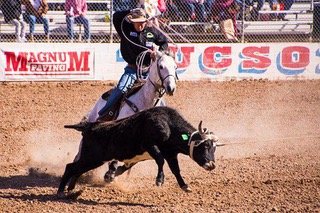 Wrestling With Your Mind