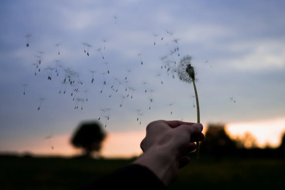 The Wind of My Spirit Blows