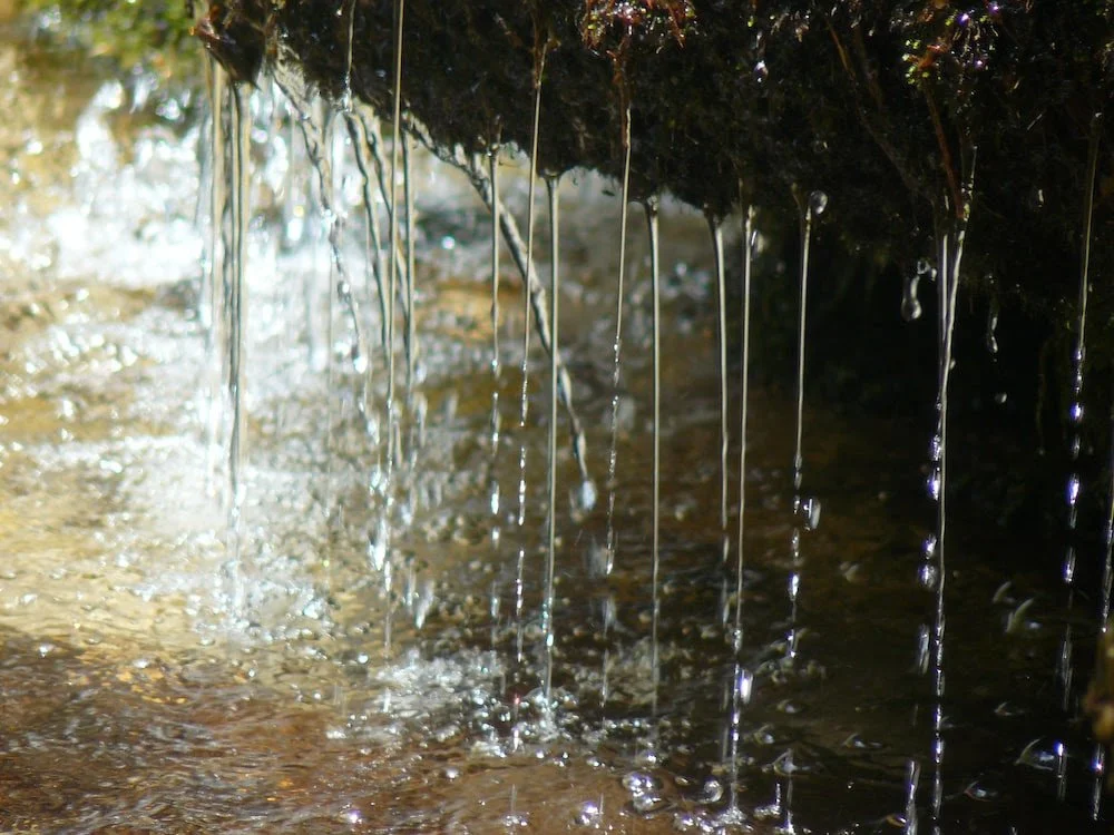 The Trickle Down Effect