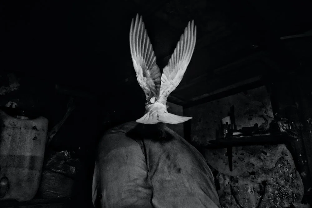 I Always Prepare a Way of Escape